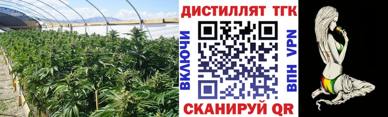 Купить закладки  Мытищи  ТГК вейп с тгк 