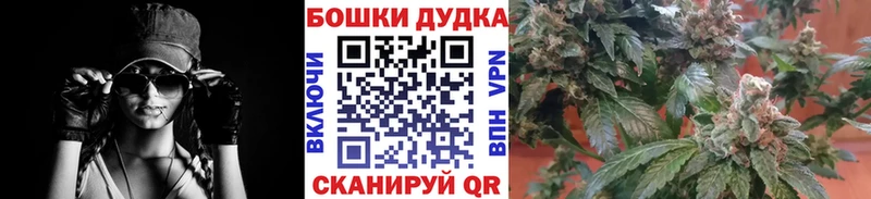 Купить где  Мытищи  Каннабис индика 